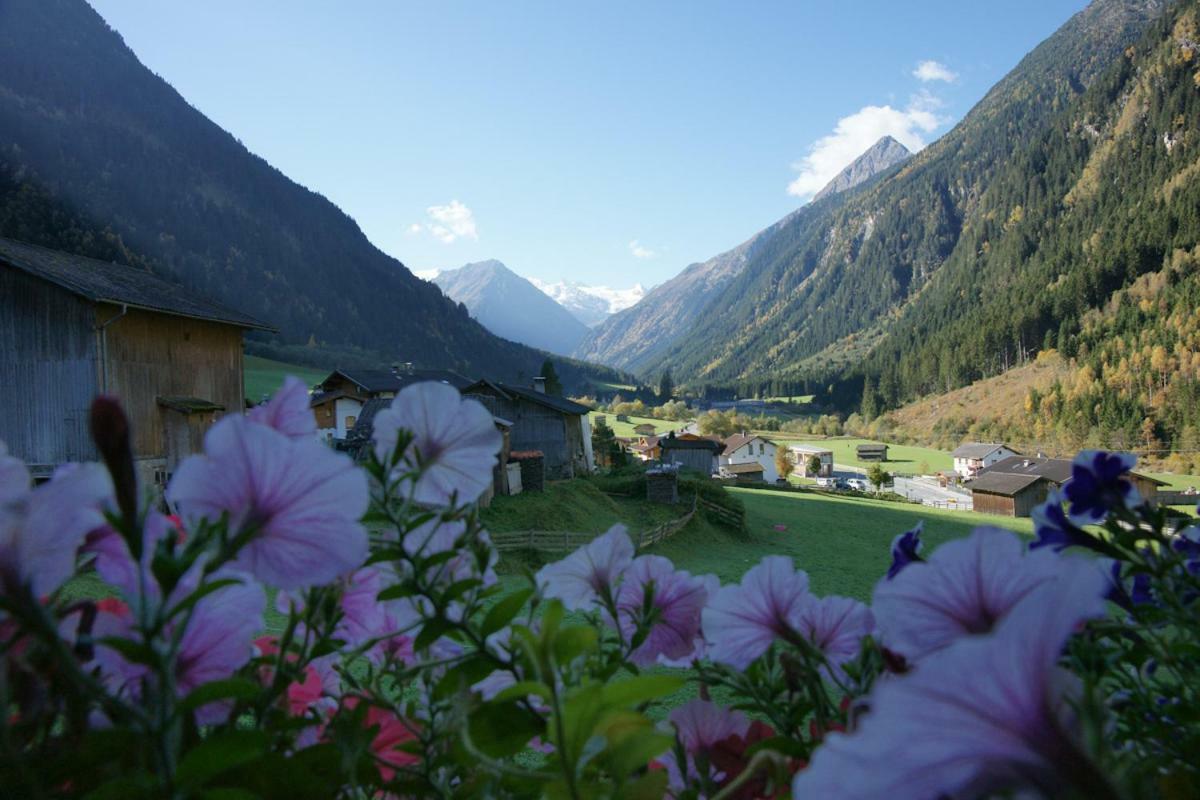 Apartment Voellenklee Neustift im Stubaital Luaran gambar